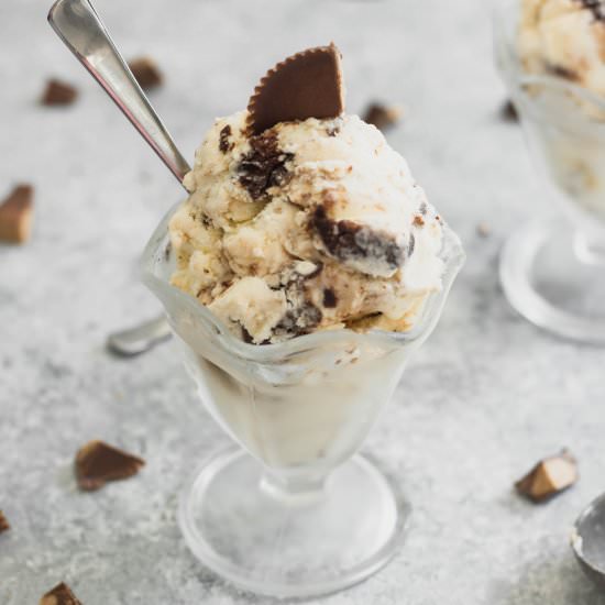 Chocolate Peanut Butter Ice Cream