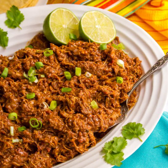 Easy slow cooker mole chicken