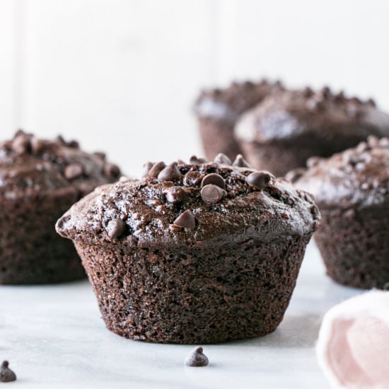 Healthy Chocolate Zucchini Muffins
