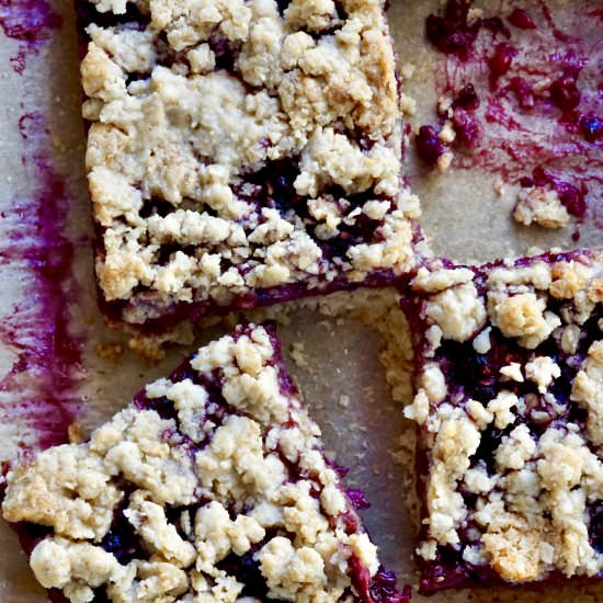 Gluten-Free Blackberry Oat Bars