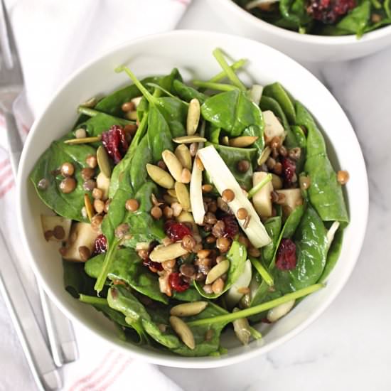 Fall Spinach & Apple Salad