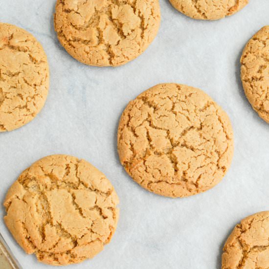Ginger Cookies (Gingernuts) 薑餅曲奇