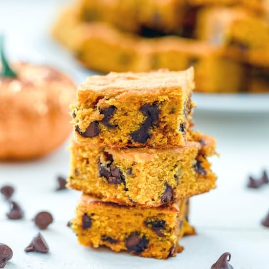 pumpkin Chocolate Chip Squares