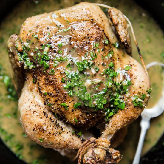 Roast Chicken with Lemon Herb Sauce
