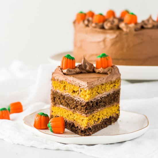 Chocolate Pumpkin Cake