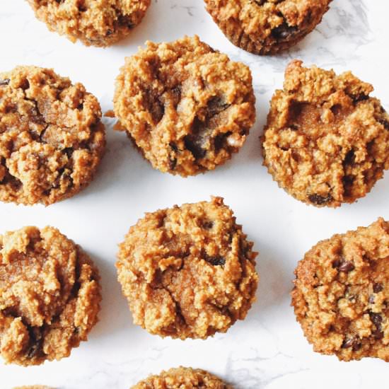 Chocolate Chip Pumpkin Muffins