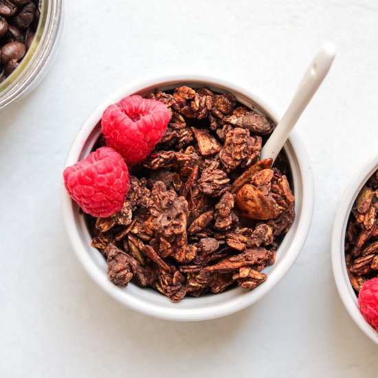 Chocolate Espresso Granola