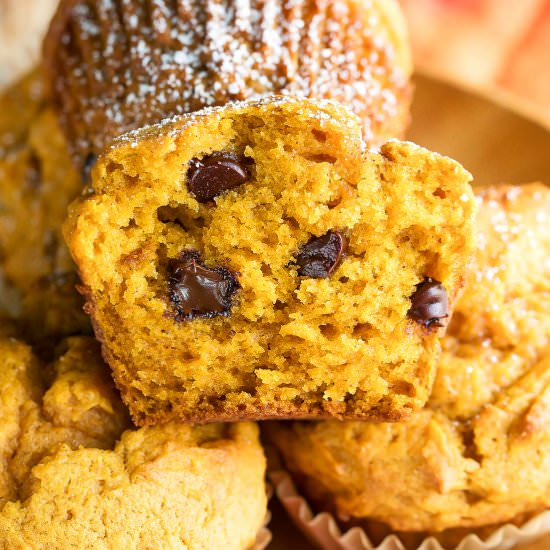 Chocolate Chip Pumpkin Muffins