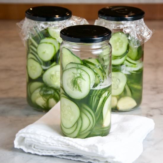 Easy Fridge Dill Pickles