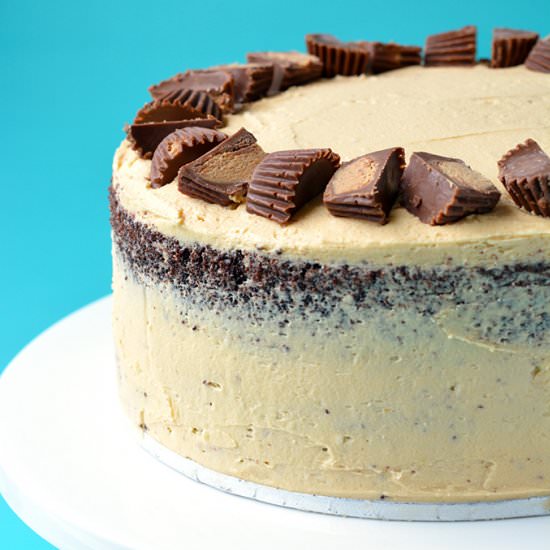Peanut Butter Chocolate Cake