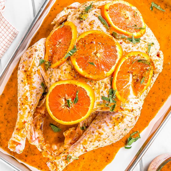 Citrus-Chipotle Turkey Marinade