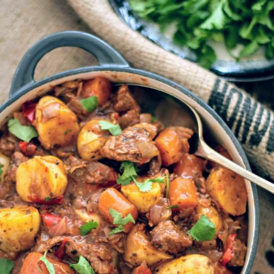Slimming World Syn Free Slow Cooker