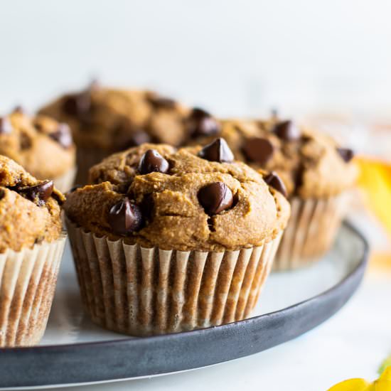 Chocolate Chip Pumpkin Muffins