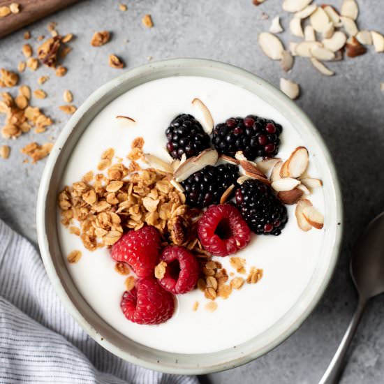 How to Make 24-Hour Yogurt