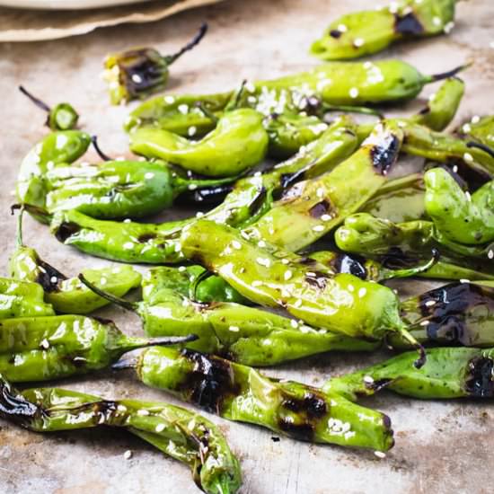 Grilled Shishito Peppers