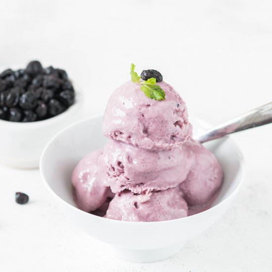 5 minutes blueberry frozen yogurt
