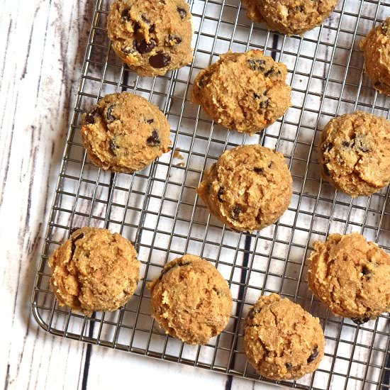 Sugar Free Chocolate Chip Cookies