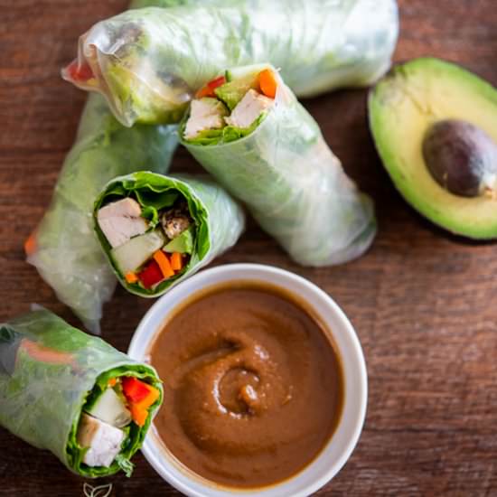 Avocado Chicken Spring Rolls