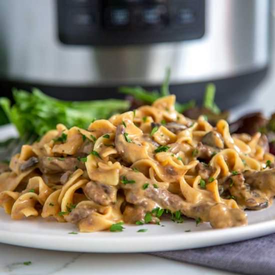 Crock-Pot Express Beef Stroganoff
