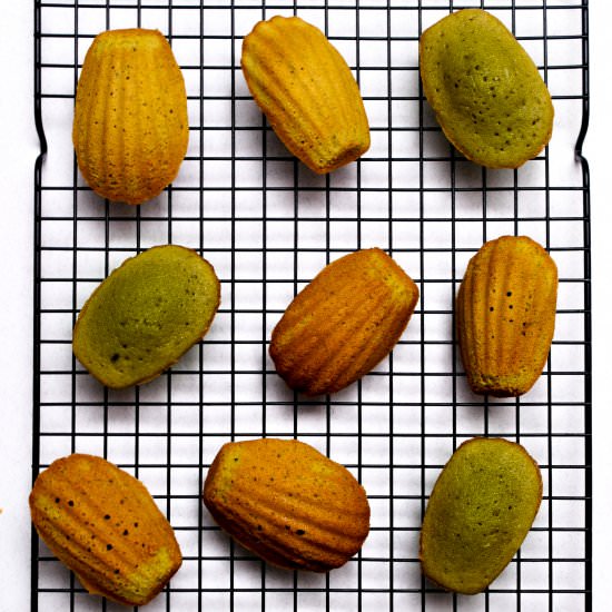 Orange & Matcha Madeleines