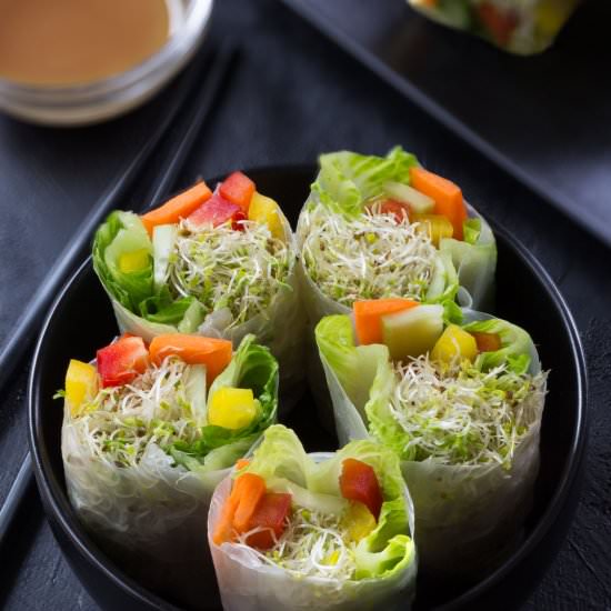 SPRING ROLLS