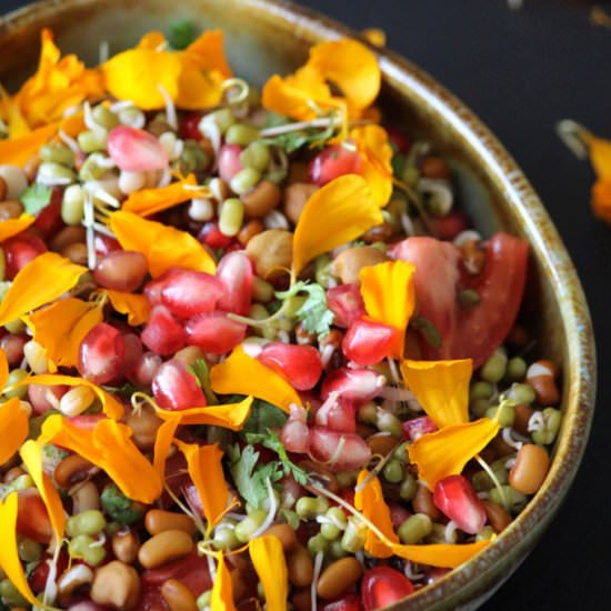 Marigold and Mixed Sprouts Salad