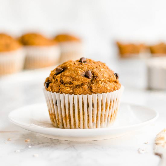Pumpkin Chocolate Chip Muffins