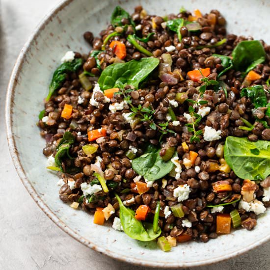French Green Lentil Salad