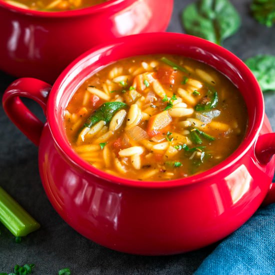 One-Pot Orzo Vegetable Soup