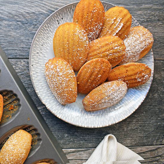 Browned butter pumpkin madeleines