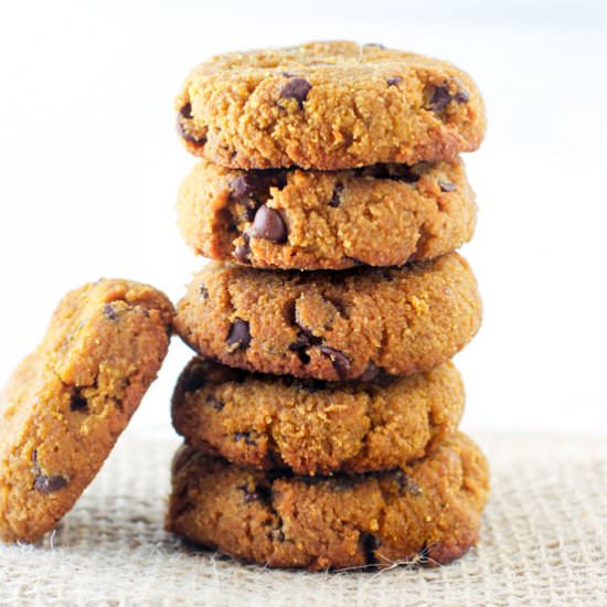 Paleo Pumpkin Chocolate Chip Cookie