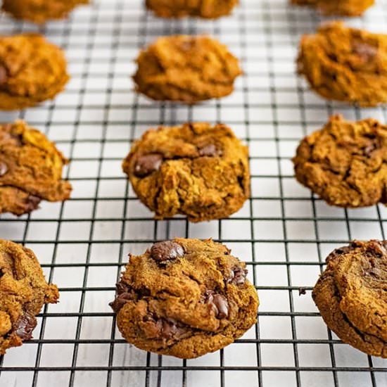 Chocolate Chip Protein Cookies