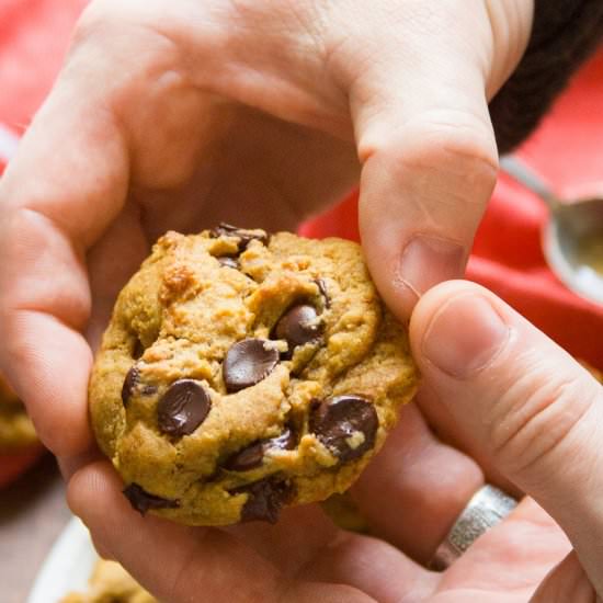 Pumpkin Chocolate Chip Cookies