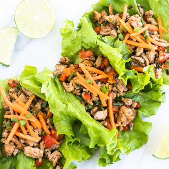 Low FODMAP Turkey Larb