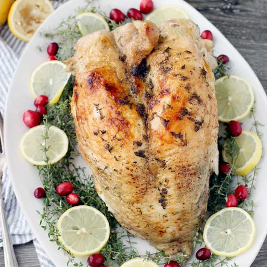 Instant Pot Turkey Breast