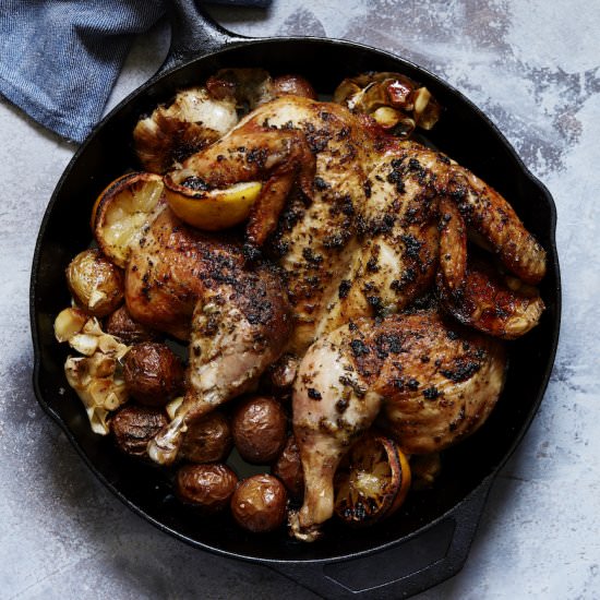 Lemon Roasted Spatchcock Chicken