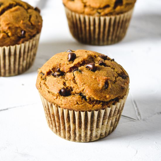 Pumpkin Chocolate Chip Muffins