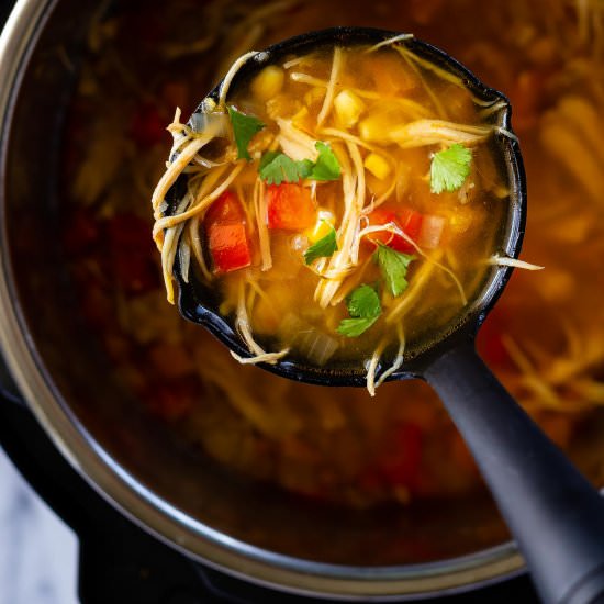 Instant Pot Chicken Taco Soup