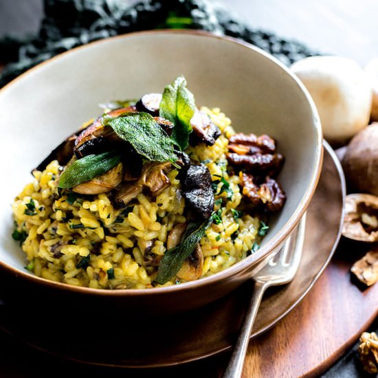 Mushroom risotto with saffron