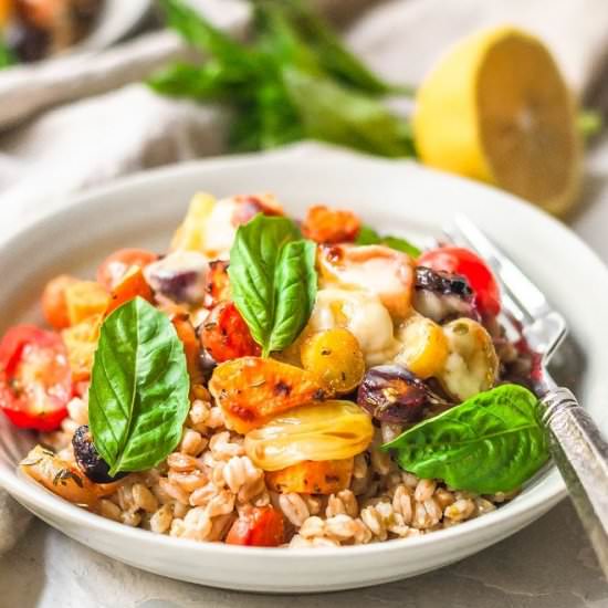 Fall Caprese Farro Salad