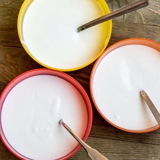 Homemade Yogurt