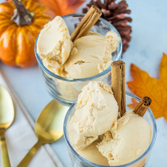 Vegan Pumpkin Ice Cream