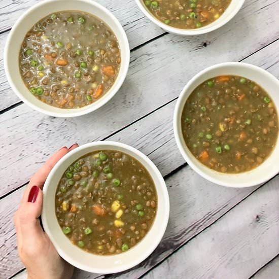 Easy Vegetable Lentil Soup – Vegan
