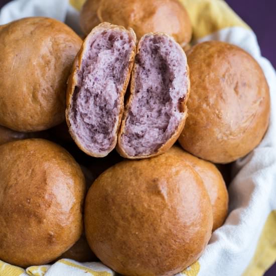 Purple sweet potato dinner rolls
