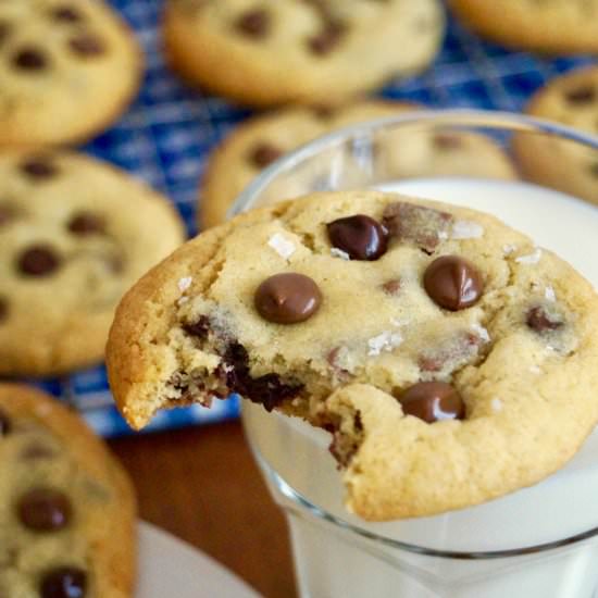 chocolate chip cookies