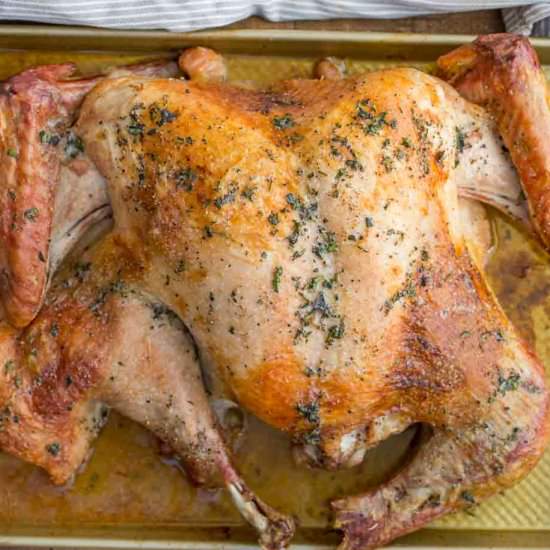 Spatchcock Turkey