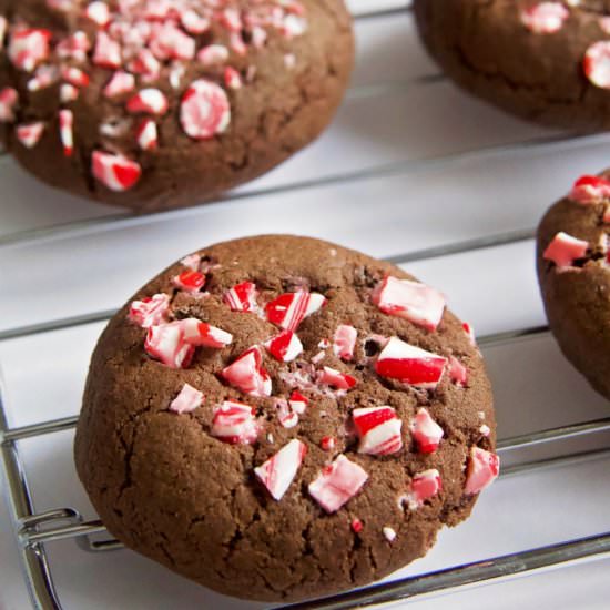 Chocolate Candy Cane Cookies