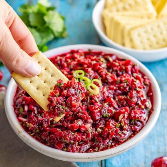 Fresh cranberry salsa