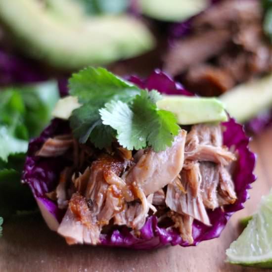 Instant Pot Chipotle Pork Carnitas