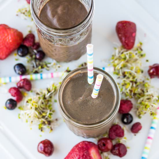 Vegan Broccoli Sprout Smoothie